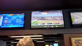 Watching the Belmont Stakes at Golden Gate Fields