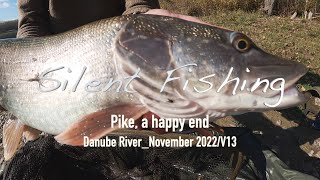 Pike, a happy end at Danube River_November 2022/V13