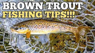 Fishing Tips and Rigs For Catching TROUT in Rivers and Creeks!