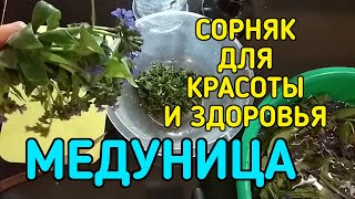 ЛЕКАРСТВЕННЫЙ СОРНЯК, который придает блюдам ПРИВКУС  ВЕРМУТА.