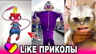 ЛУЧШИЕ ВИДЕО ЛАЙК 2019 Подборка | ПРИКОЛЫ Like Самые Няшные и Прикольные Видео