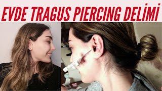 EVDE TRAGUS PİERCİNG DELDİM |NASIL YAPILIR| Acısı ve Bakımı?