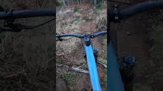 Guisborough Woods #shorts #dec2022 #mtb #ukmtb #NorthYorkshireMoors