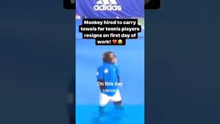 this monkey is absolutely funny😂 #monkey #olympicsports #olympics #olympics2024 #tennis