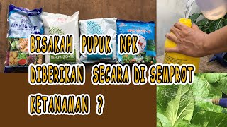 Bisa atau Bolehkah memberikan pupuk NPK secara di semprotkan ketanaman?