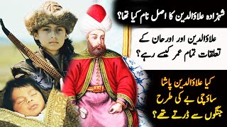 Allaudin Pasha History In Usmani Empire Series Season 3  | Who Was Allaudin Bey | Roshni Light