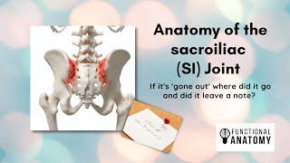 Anatomy of the Sacroiliac Joint