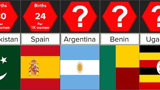 Most Fertile Countries | Comparison | DataRush 24