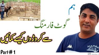 Livestock Expert || Goat Farming || Goat Farming in Pakistan || How to become millionaires || Goat