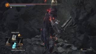 Dark souls 3   Ng +   3 Untended Graves .Champion Gundyr,the fourth run.