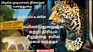 மயிலாடுதுறையில் சுற்றி திரியும் 🐆 சிறுத்தை | அச்சத்தில் பொதுமக்கள் | Mayiladuthurai siruthai