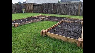 How to make a raised bed garden without going broke