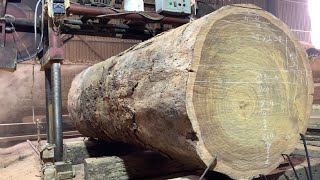 The Most Monster Giant Mahogany Saw Mill Extremely Expensive Way to Transport Wood