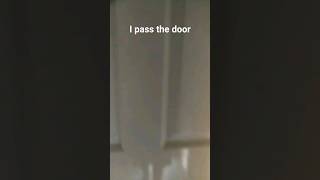 i pass inside the door #short