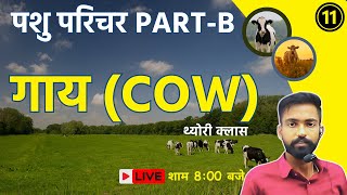 L-11 🔴 Cow 🔴 गाय | #pashu_paricharak #पशु_परिचर