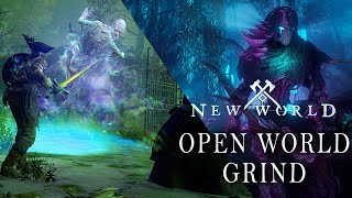 NEW WORLD OPEN WORLD GRIND COME HANG AND LINK UP!!