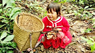 The poor girl was abandoned by the boy in the forest, the girl sobbed - Ly Ton Quang