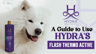 How to use Flash Thermo Active | Hydra Conditioner #conditioner