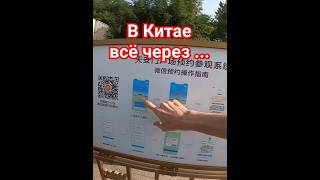 #китай #китай2023 #путешествия #тяньаньмэнь #запретныйгород