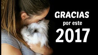 GRACIAS POR ESTE 2017 ❤