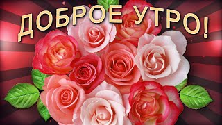 ✅Доброе утро✅