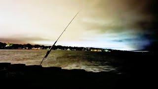 EPIC Nighttime Pier Fishing on Lake Michigan - Steelhead, Catfish & More!