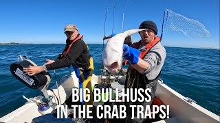 Catching BIG CRABS And LOBSTERS On My Fishing Vessel! With Special Guest @SMASHFISHING!