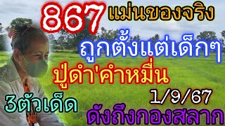 867ปู่ดำคำหมื่น"ถูกตั้งแต่เด็กๆ"3ตัวเด็ดดังถึงกอง1/9/67