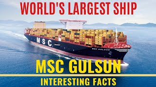 World's Largest Container Ship #Largestship #biggestship #MSCgulsun