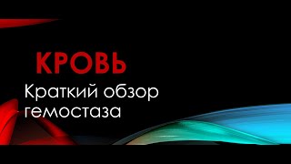 Физиология. Глава 4. Кровь. Краткий обзор гемостаза