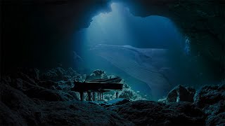 [Playlist] 바닷속 클래식 피아노 | Ocean Sounds | Underwater Piano | Relaxation asmr