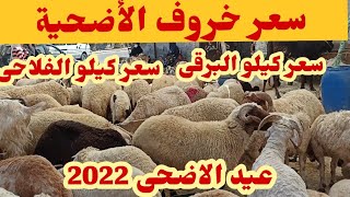 اسعار خرفان الاضاحى عيد الاضحى 2022