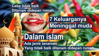 Dalam Islam Ada Jenis Tanaman Yang Tidak Baik Ditanam Didepan Rumah, 10 Tanaman Hias Pembawa Sial