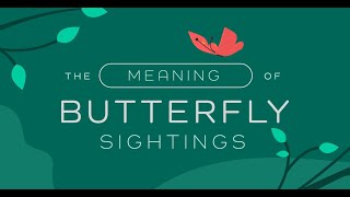 Meaning of a Butterfly Sighting