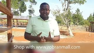 MY EXPERIENCE FROM OPERATING A FEEDLOT ll Natwijuka Brian +256789491350