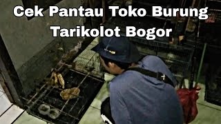 Toko Burung Isfan Jenggot Sampai malam