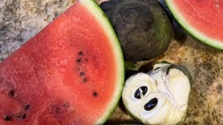 Alkaline Health Talk  Benefits Of Seeded Watermelon.