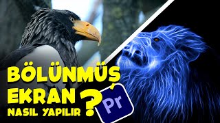 BÖLÜNMÜŞ EKRAN ( SPLIT SCREEN ) | Premiere Pro Dersleri