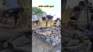 500 वर्ष पुराना कुआं आज भी चलता हैं || #oldculture #rurallife #village #rajasthan #villagelife