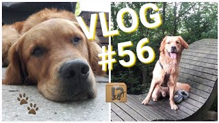 VLOG #56 / Warten aufs Paket / Hitze in der Bude