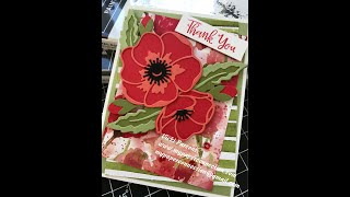 NEW Painted Poppies/Peaceful Poppies Card - Beautiful Die Cut Poppies