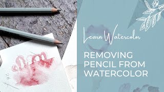 How to remove Pencil lines from a watercolor painting