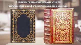 Урок "Структура книги"