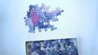 Puzzle Timelapse