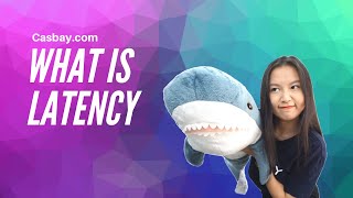 What is Latency?