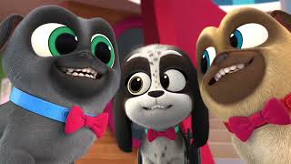 Puppy Dog Pals – Clip | Family Pet Picture Day | Disney Jr