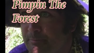 Pimpin the Forest