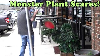 Randi's Monster Plant Costume Prank Outside Magic In The Living Room Show!