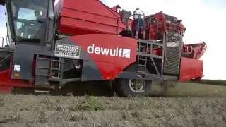 Dewulf RF3060 - 2-row self-propelled potato harvester