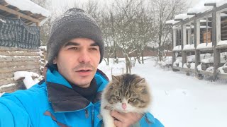 НОВЫЕ ПРОБЛЕМЫ! КУПИЛИ ДОМ В ЗАБРОШЕННОЙ ДЕРЕВНЕ!